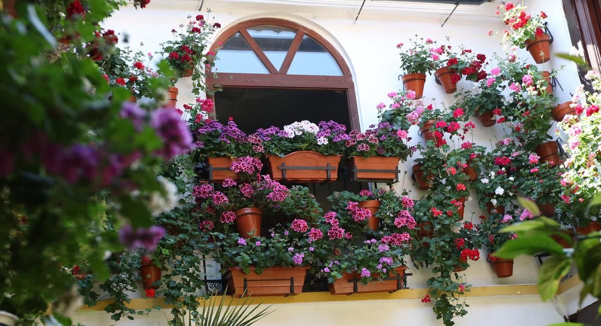 De patios por San Andrés y el Realejo