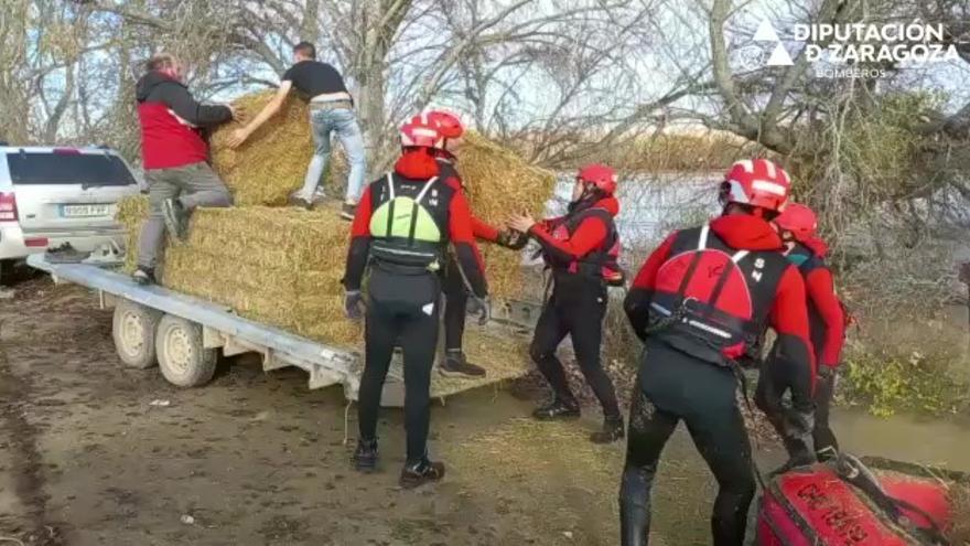 Los bomberos cargan las barcas con alimento