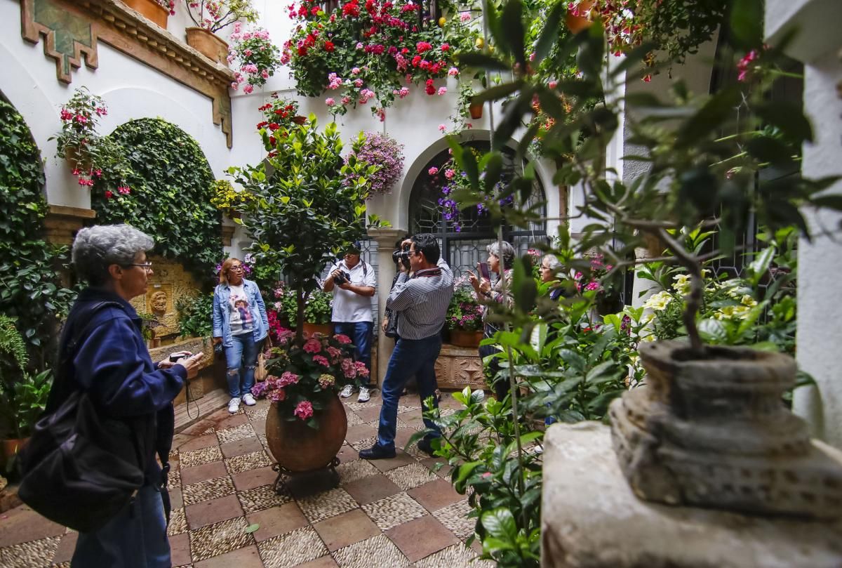 Paseando por el Alcázar Viejo