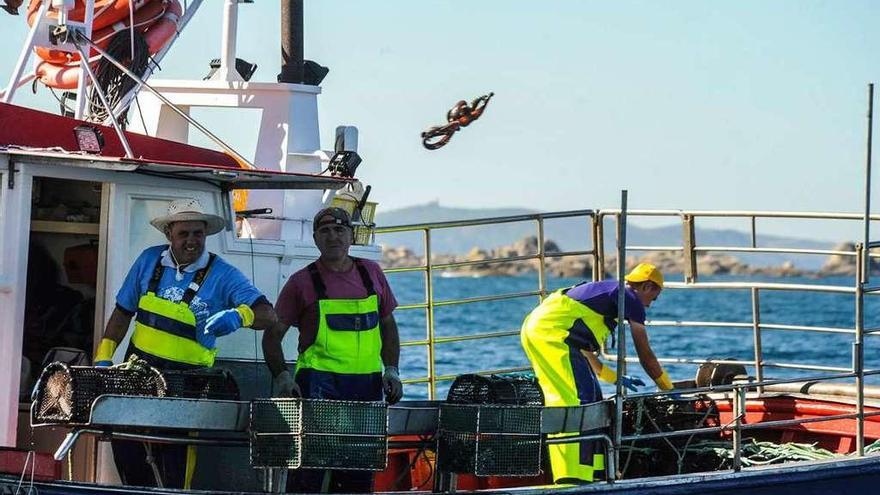 Tres pescadores capturan pulpo durante una jornada de trabajo en el inicio de la campaña.