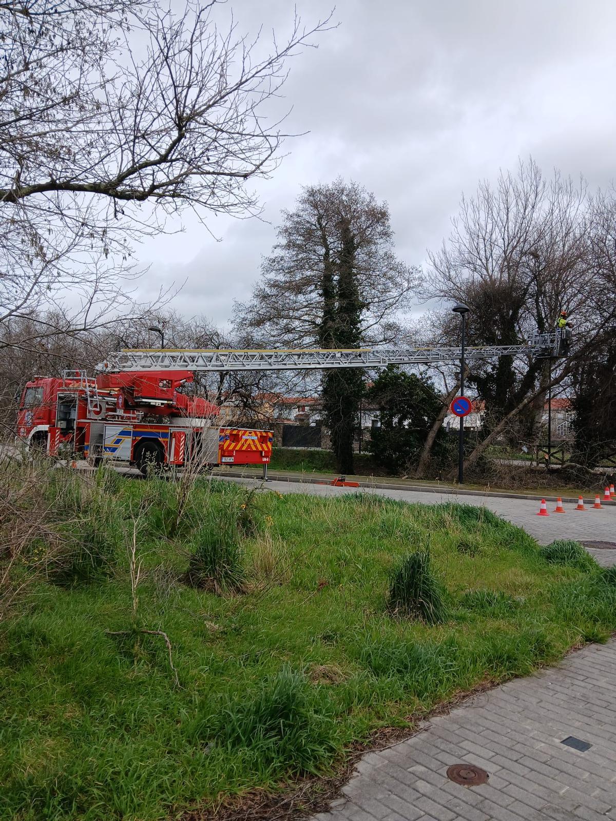 Retirada de árboles derribados en Oleiros tras el paso de la borrasca 'Nils' Retirada de árboles derribados en Oleiros tras el paso de la borrasca 'Nils'