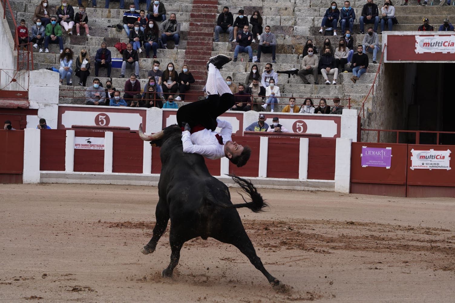 Concurso de Cortes Zamora 2021