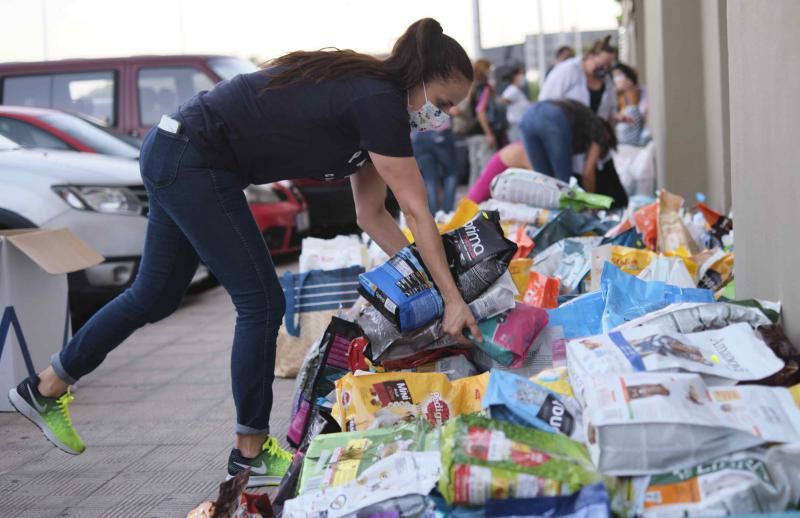 Recogida de productos para La Palma en Tenerife