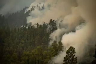 El fuego destruye gran parte de las instalaciones de la reconocida bodega El Tendal