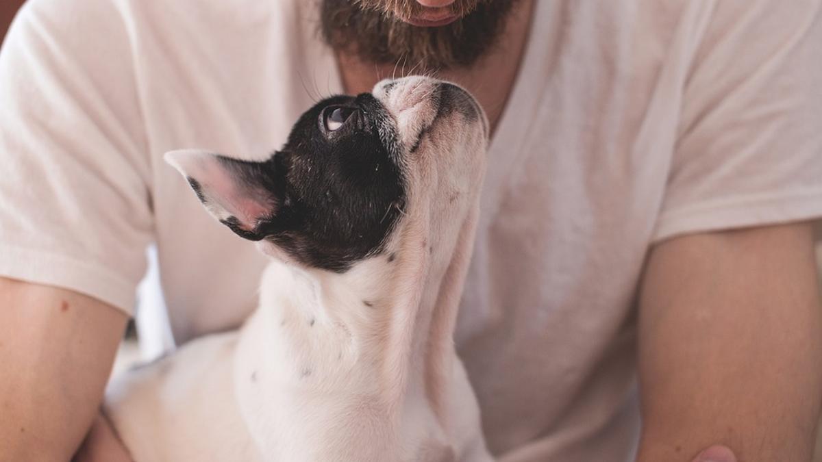 Un hombre junto a su perro.