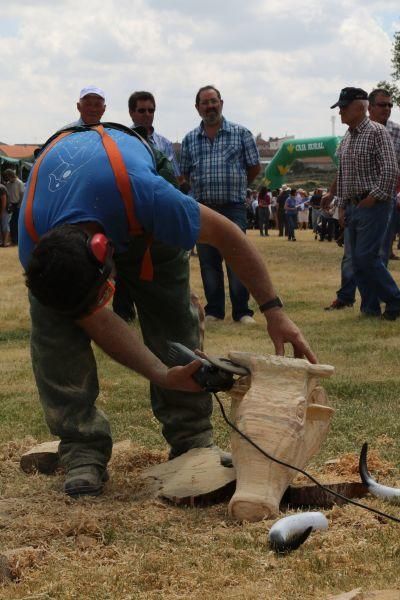 Feria de la Raza Sayaguesa en Bermillo