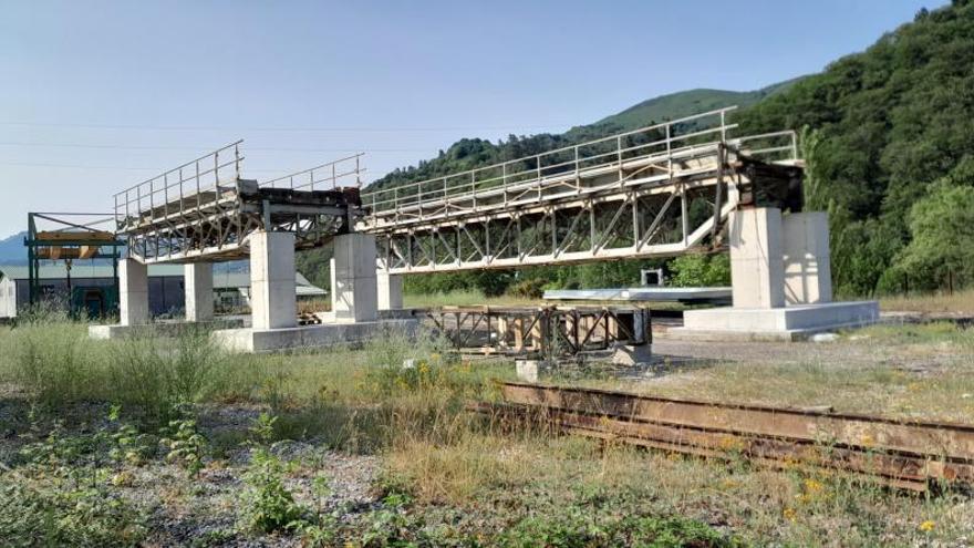 Un empujón al sector forestal asturiano: Hunosa estima que la transformación de la térmica de La Pereda generará un negocio de 20 millones anuales