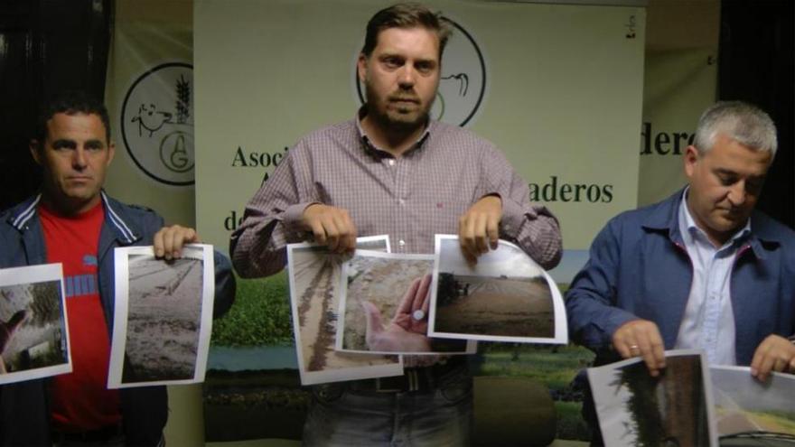 Reclaman a Agroseguro ampliar las coberturas en daños por tormentas en Extremadura