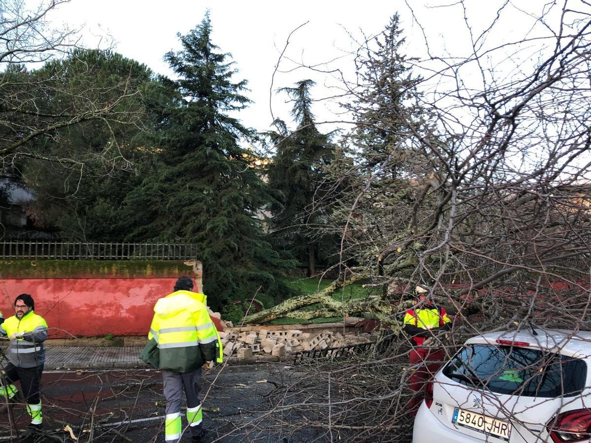 Muro caído en el IES El Brocense de Cáceres, esta mañana.