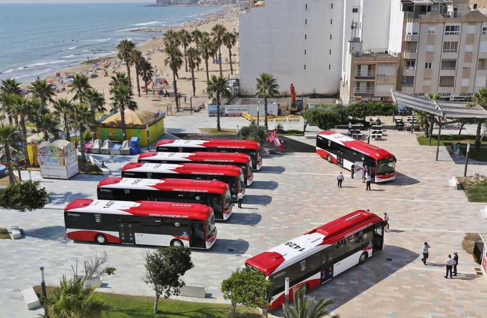 Avanza renueva el 50% de la flota del bus urbano en Torrevieja con siete nuevos vehículos