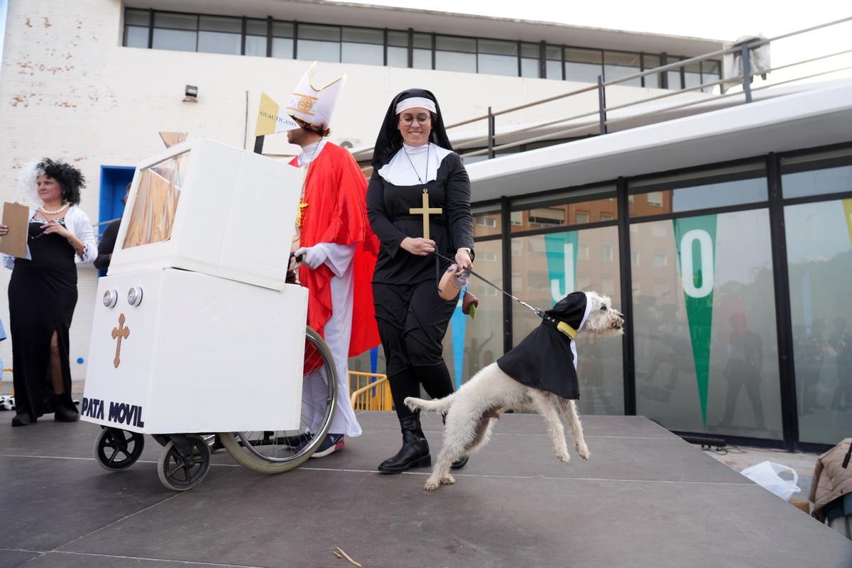 Mascotas disfrazadas en el Carnaval del Grau de Castelló. ¿Has participado? Búscate en esta divertida iniciativa