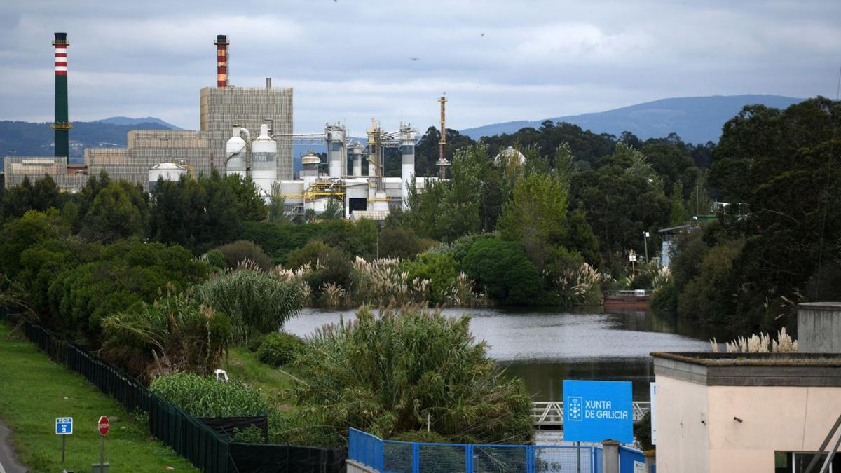 La fábrica de Ence, al fondo, y en primer plano, la depuradora de la que captará agua.