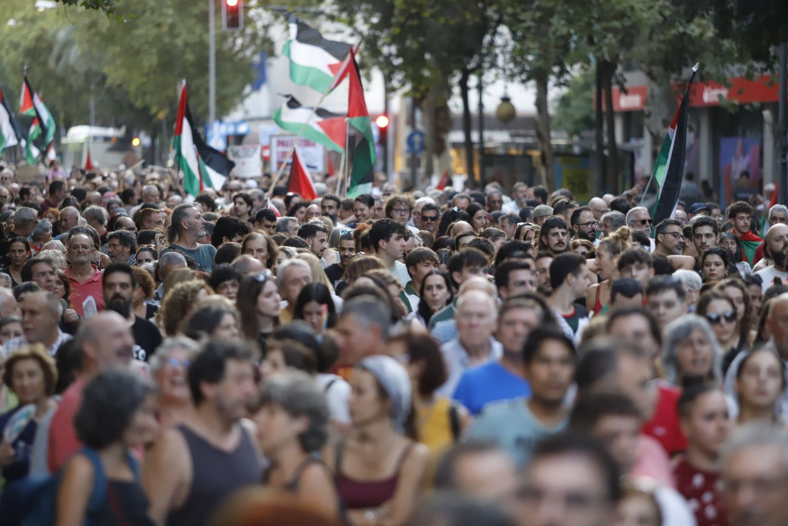 La manifestación por Palestina, en imágenes