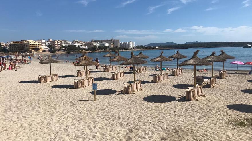 Las playas de Manacor volverán a tener la mitad de hamacas y sombrillas