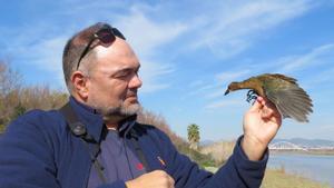 Un ocell africà a Barcelona