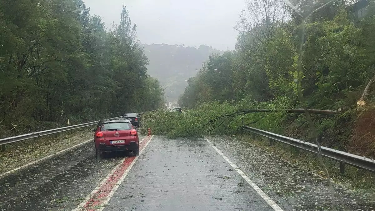 La borrasca "Kirk" azota Asturias con rachas de 158 km/h,  árboles caídos sobre carreteras, parques cerrados y flota amarrada
