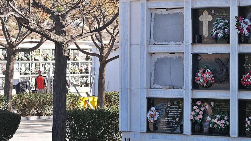 Nichos en el cementerio nuevo de Elda, a mediados del mes de enero.