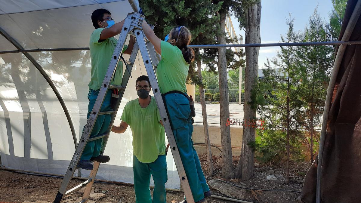 Manipulador de alimentos, servicios administrativos, actividades auxiliares de jardinería y de albañilería, entre ellos