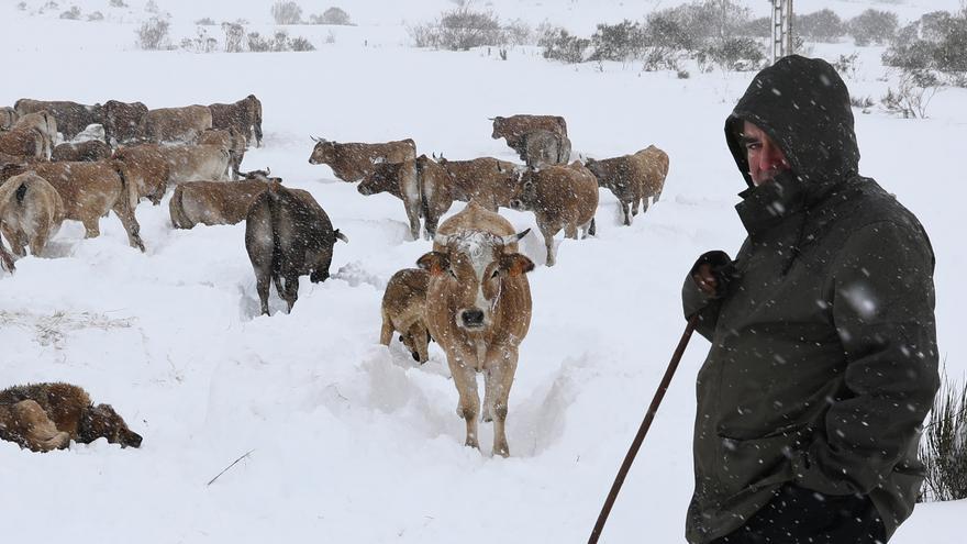 El Puerto de Somiedo, bajo la nevadona “de noviembre a marzo”