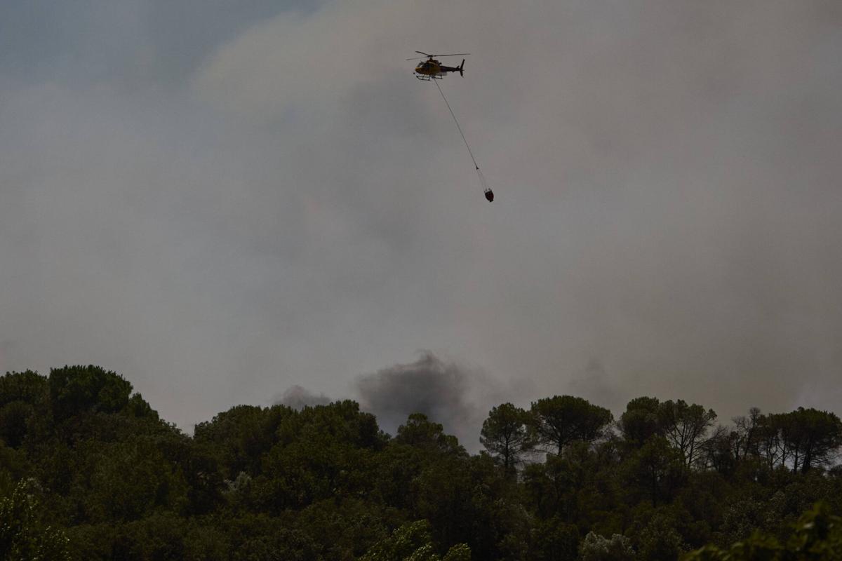Les imatges de l'incendi forestal de les Gavarres Les imatges de l'incendi forestal de les Gavarres