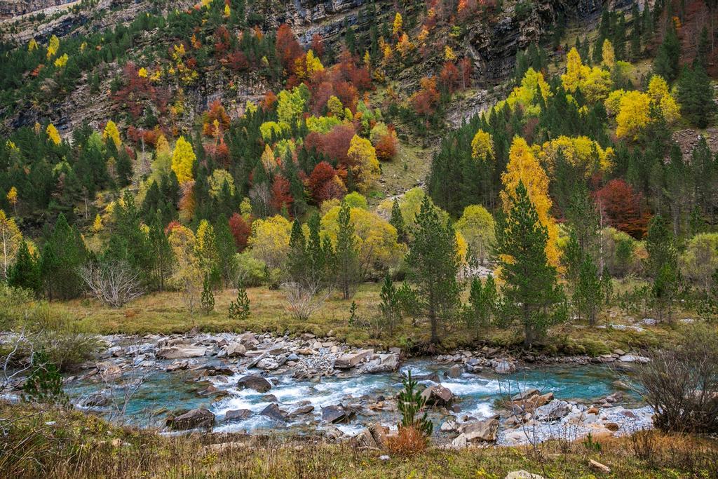 Ordesa: el corazon de los pirineos