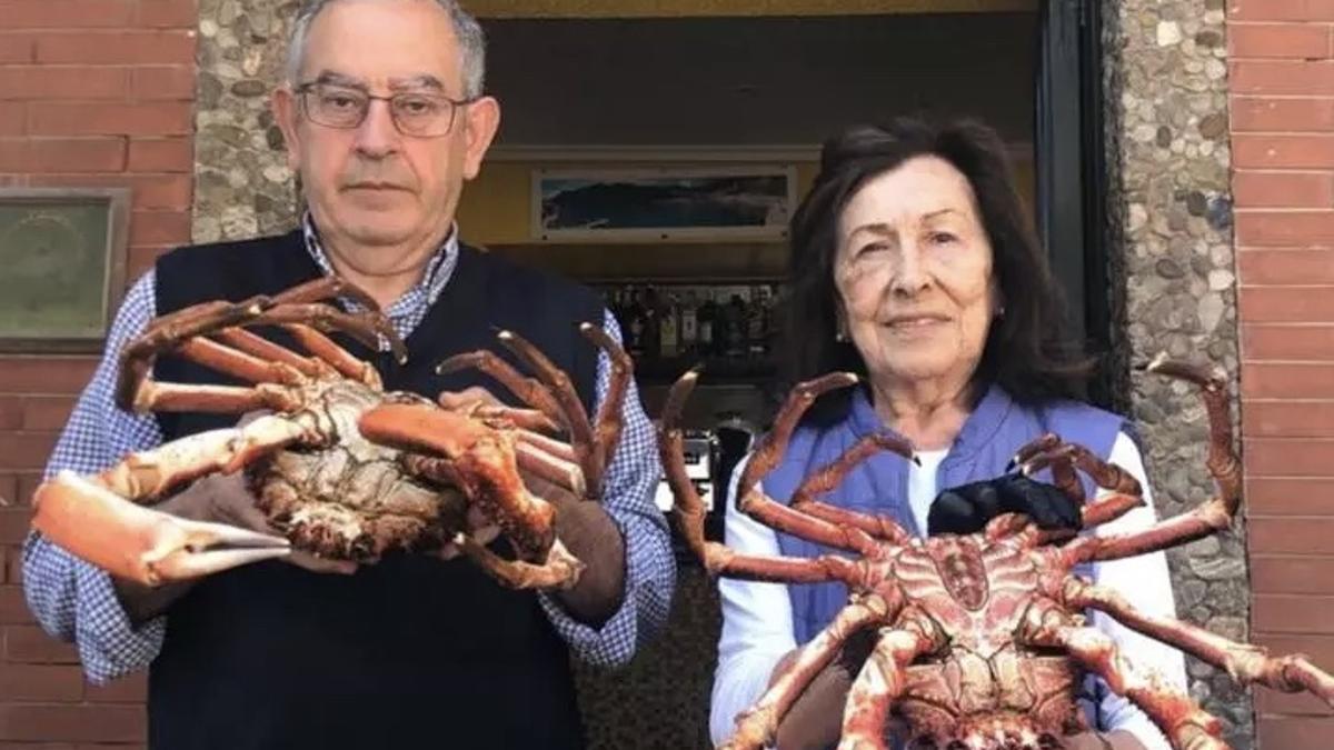 Cerntollos de dos kilos o más en Tazones.