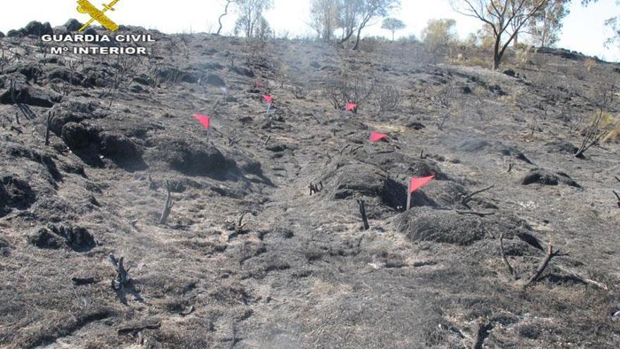 La Guardia Civil de Cáceres investiga a tres personas como presuntos autores del incendio en Alcántara