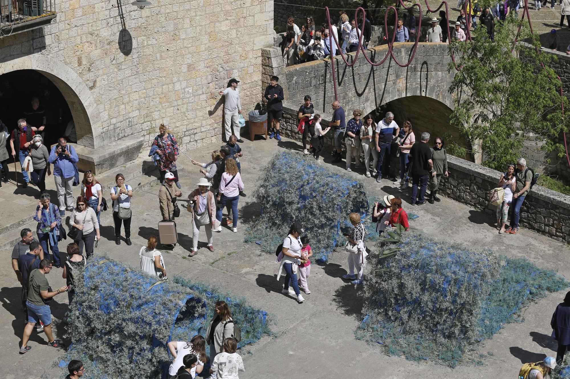 Girona es torna a omplir de color i riuades de gent en el retorn a la normalitat de Temps de Flors