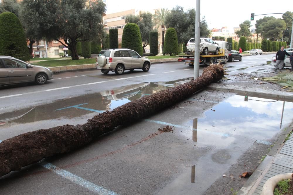 El temporal de lluvia causa estragos en Murcia
