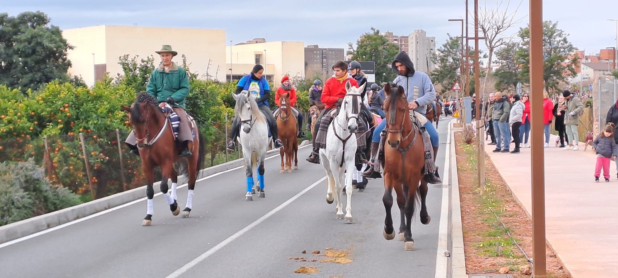 Galería de fotos: Castelló se vuelca con la procesión de Sant Antoni a la Mare de Déu del Lledó