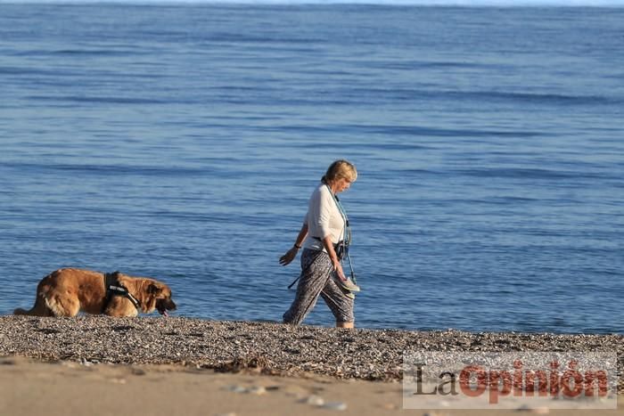 Primer día de paseos al aire libre en Mazarrón