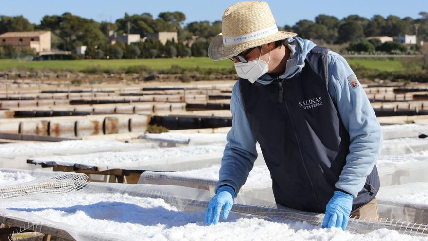 Was deutsche Investoren mit der Salzblume vom Es Trenc auf Mallorca vorhaben