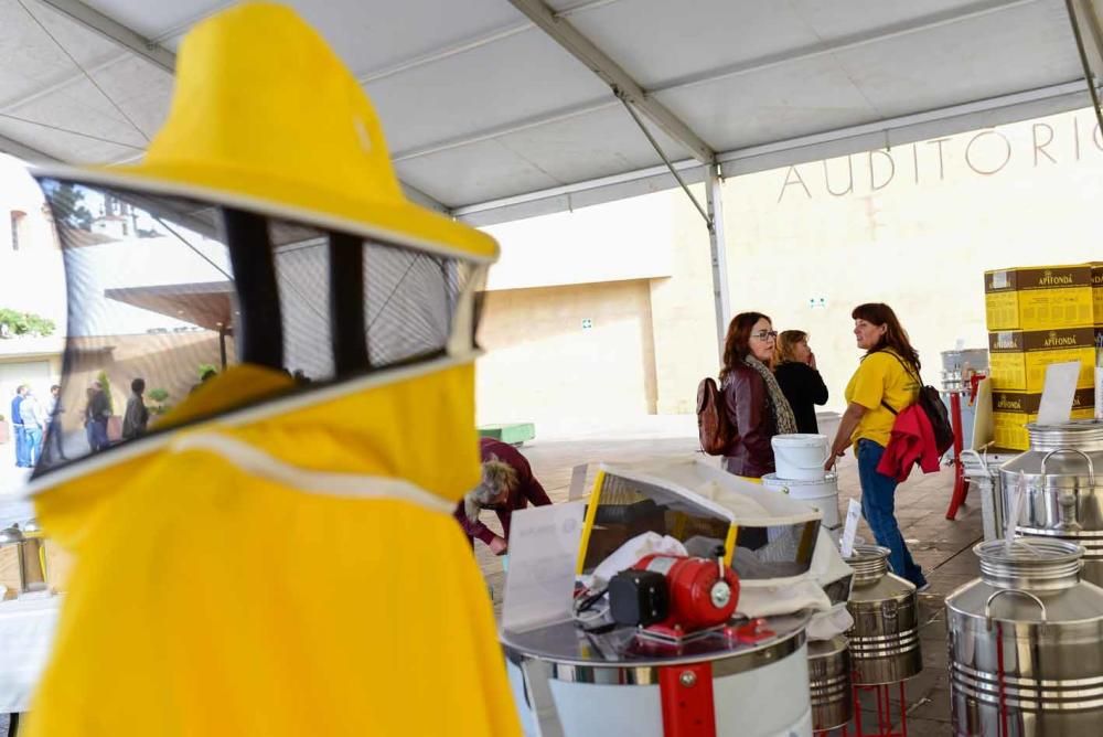 Jornadas apícolas en Teror