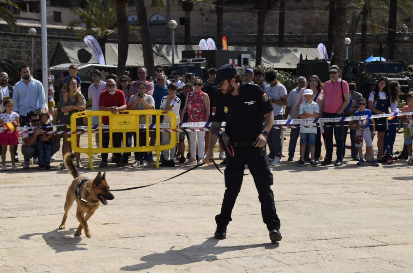 Las Fuerzas Armadas celebran su fiesta en el Parc de la Mar de Palma