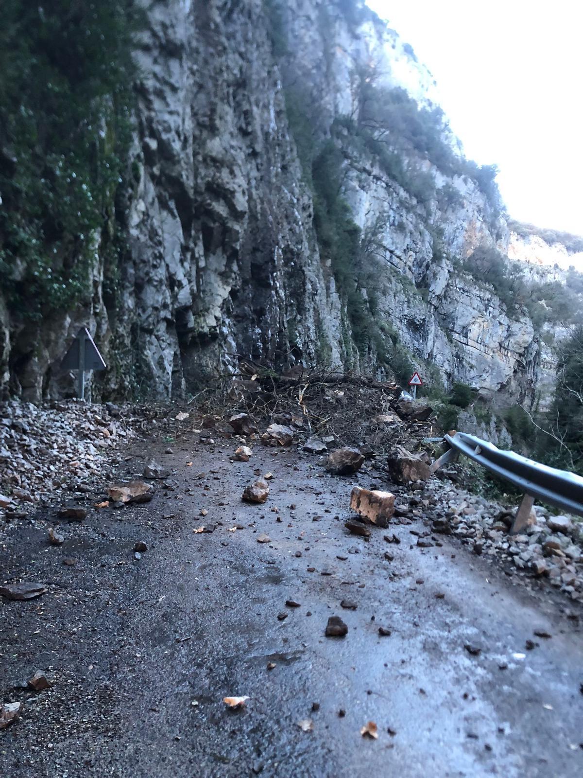 Rocas y ramas de gran tamaño en mitad de la calzada tras el desprendimiento.