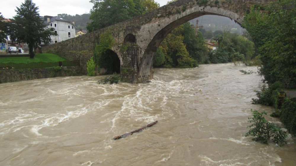 El Sella, crecido por Cangas de Onís.