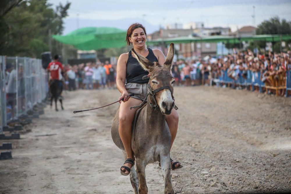 Carrera de burros y asnos y exhibición canina en D