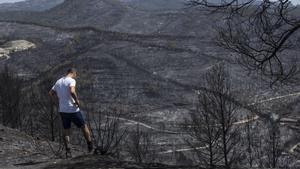 Catalunya té els pitjors incendis forestals des de fa 10 anys