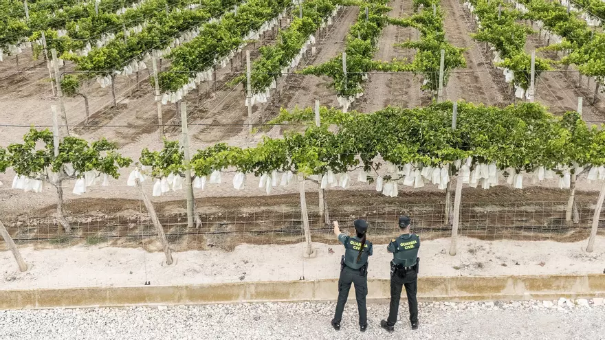 El campo vigilado: diez años del equipo Roca en Alicante
