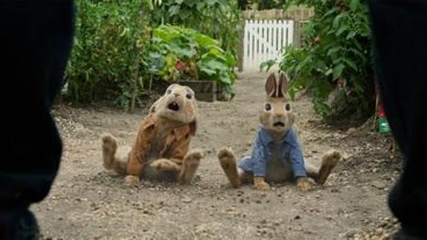 Peter Rabbit