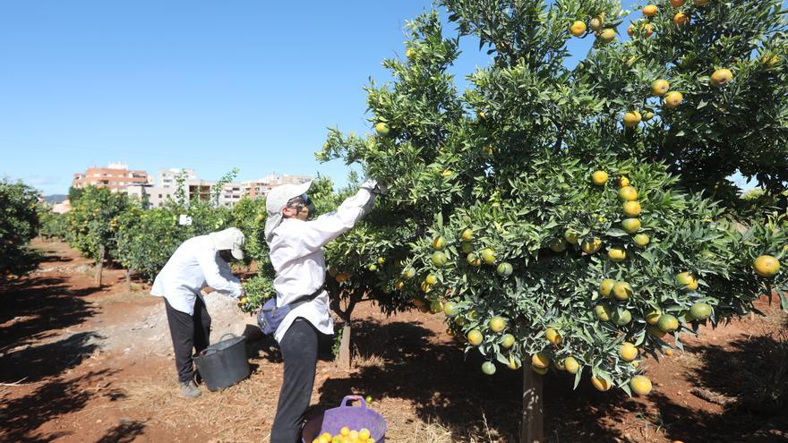 Últimos días para optar a las nuevas ayudas del Plan Resistir de Castelló