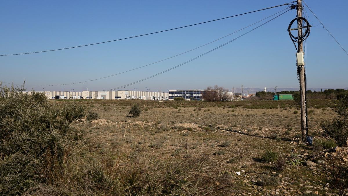 Los terrenos donde se ubicará la gigafactoría, ayer.