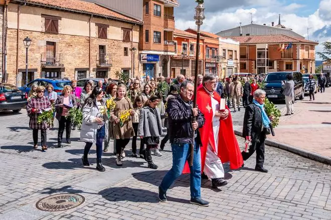 Bendiciones con historia en Tábara por el Domingo de Ramos