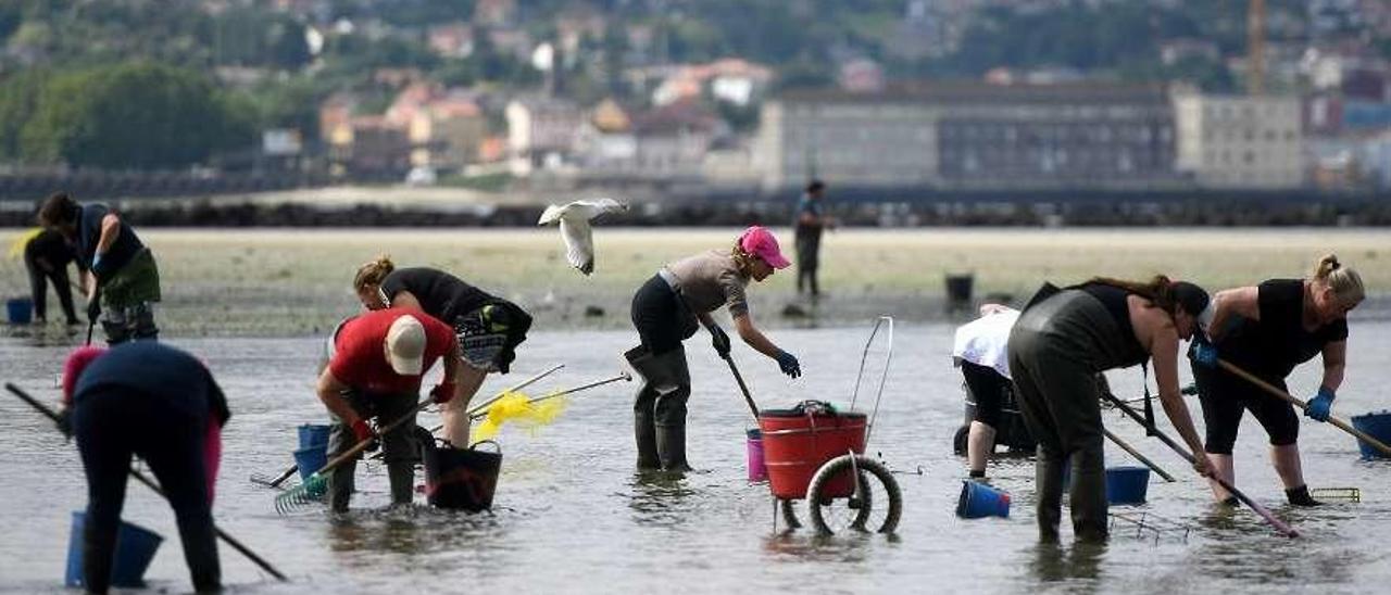 Mariscadoras a pie en la zona de Lourizán. // Gustavo Santos