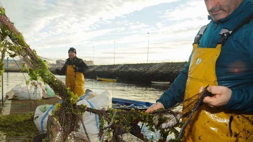 Pesca Trasmallo