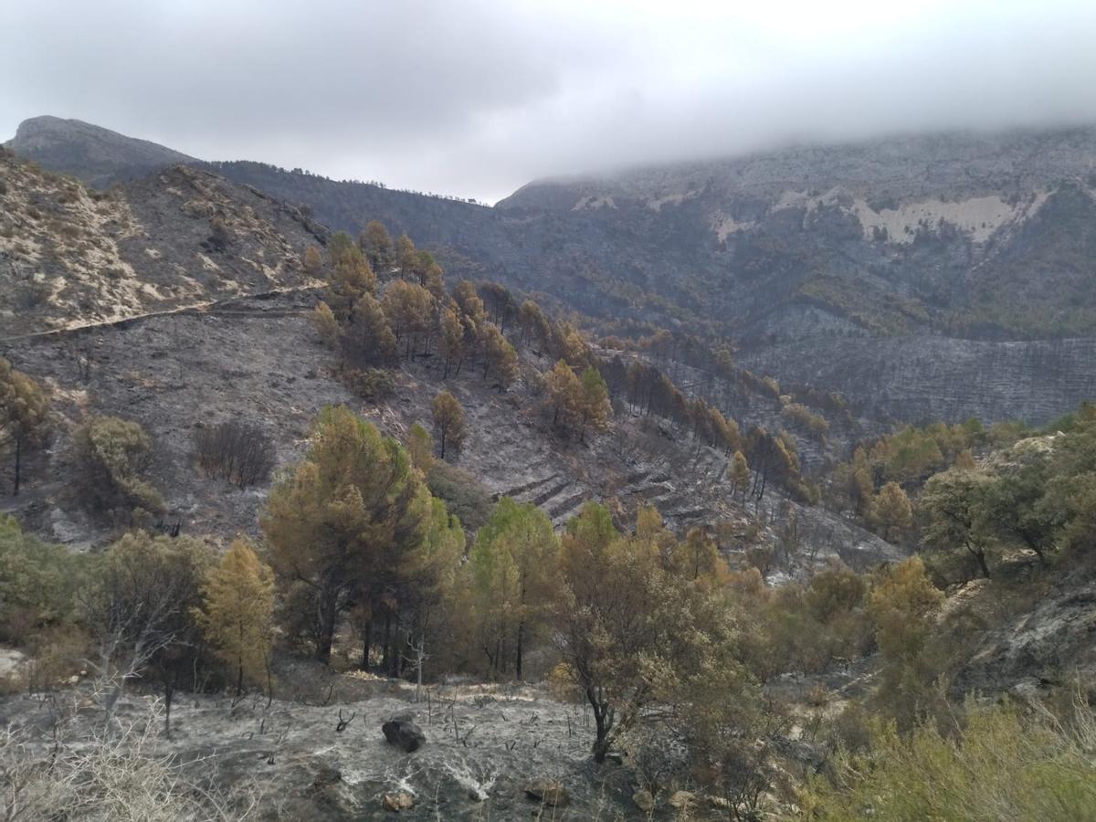 La destrucción del incendio de Tàrbena, en imágenes