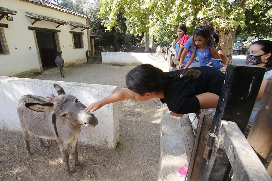 Reapertura del Zoológico tras el estado de alarma