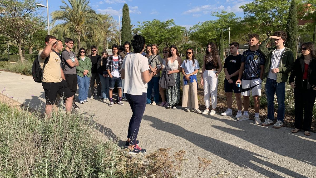El campus de Elche de la UMH, doinde se instala un "hotel" para insectos