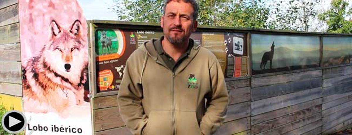 La caza de los últimos lobos de A Groba