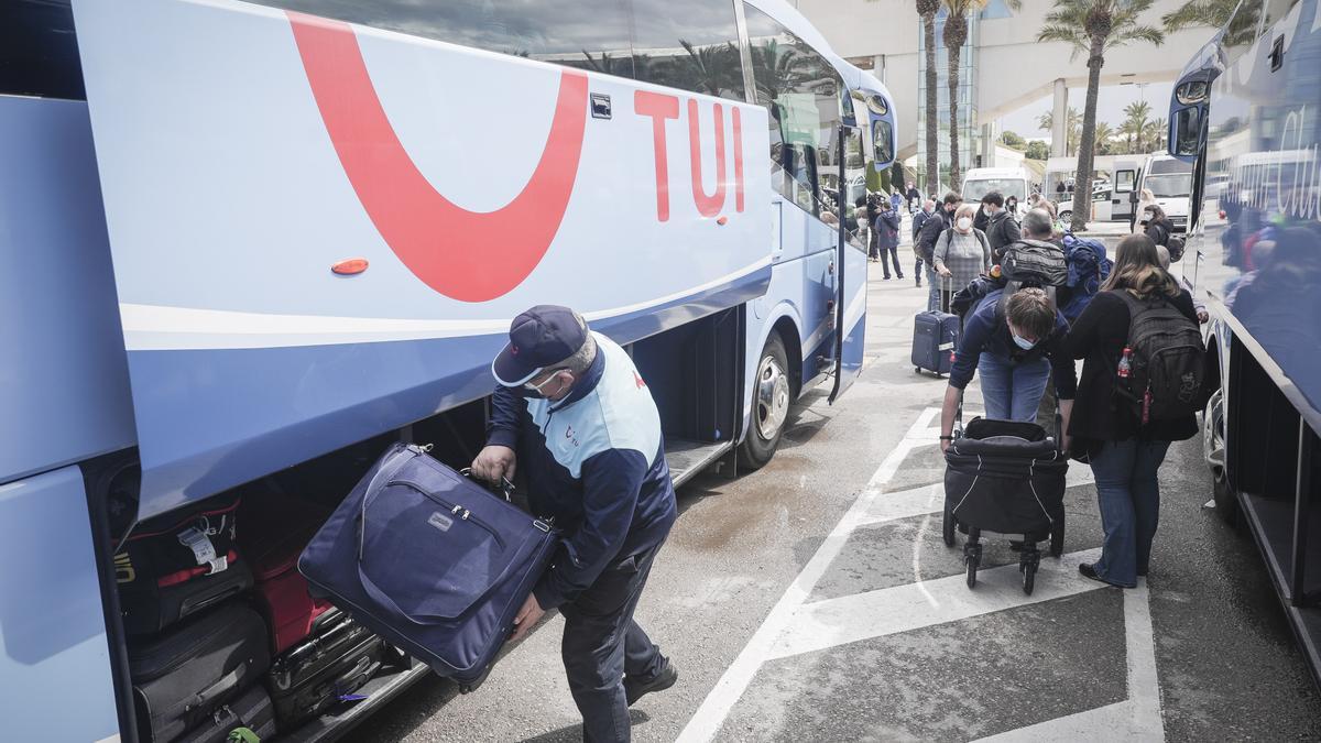 Autobuses turísticos en el aeropuerto de Palma